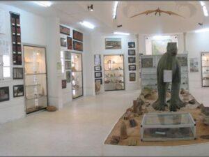 MUSEE DE LA MEMOIRE DE LA TERRE