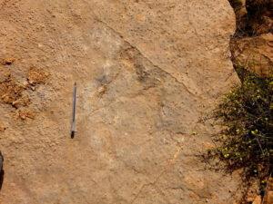 PISTE DES DINOSAURES DU JURASSIC